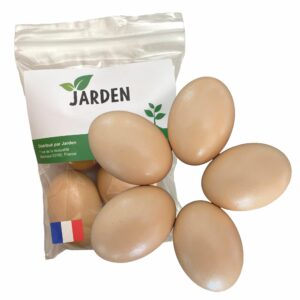 Packaging lot de 5 oeufs factices Jarden