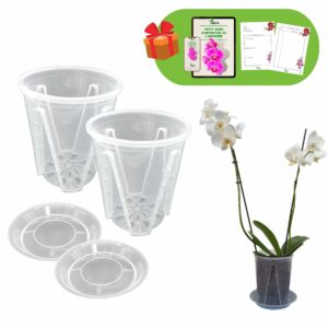 Pots plastique orchidées