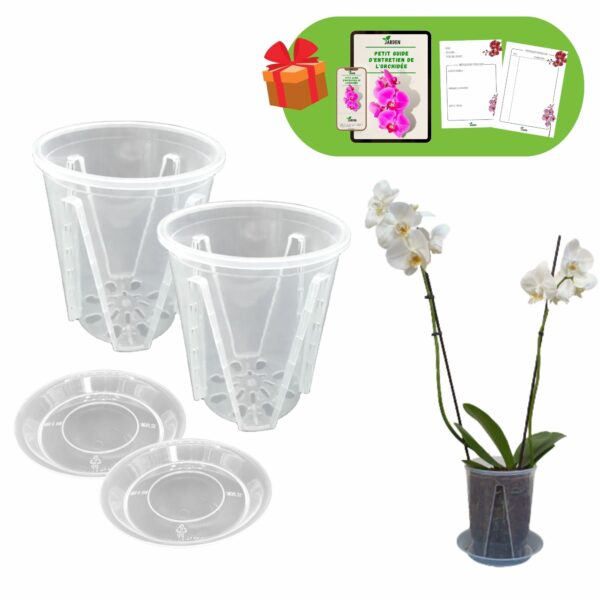 Pots plastique orchidées